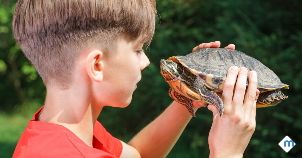 kid holding a turtle