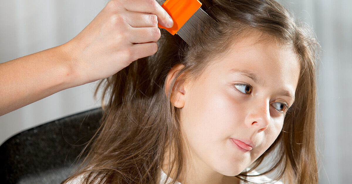 kid getting lice treatment