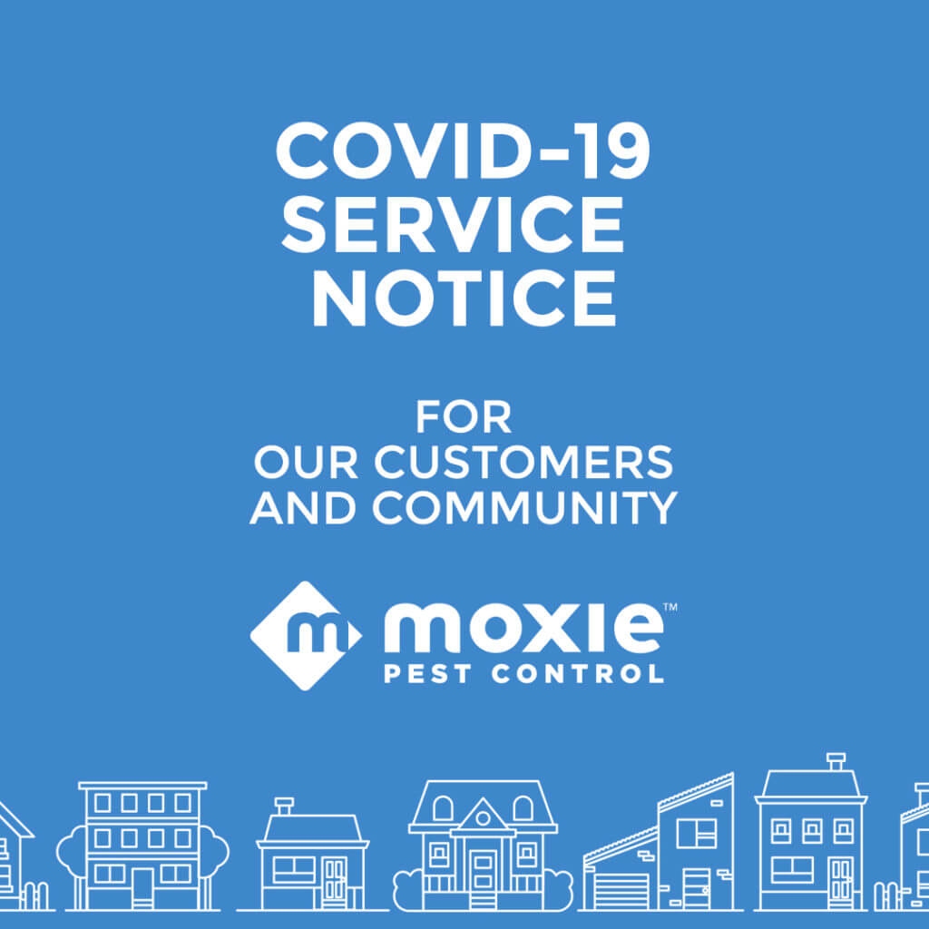 moxie covid-19 coronavirus banner