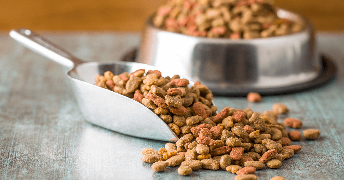 When Pet Food Becomes Pest Food